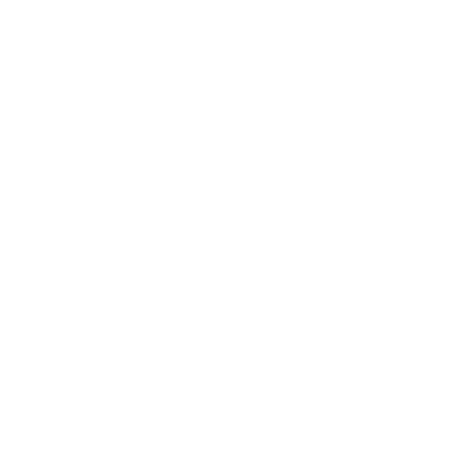 pinch-logo-white (2)